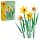 LEGO Lel Flowers 40747 Nárciszok
