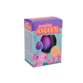 Növő axolotl tojás dobozban, 4 féle20