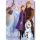 Disney Jégvarázs Winter Friends polár takaró 100x140cm