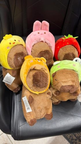 Levehető sapkás Capybara