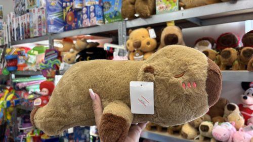 50cm fekvő capybara
