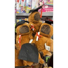 Ballagó capybara